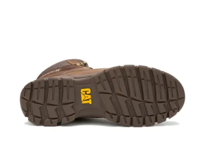 Caterpillar Threshold Hiker WP